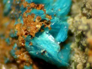 Sampleite-98040.jpg