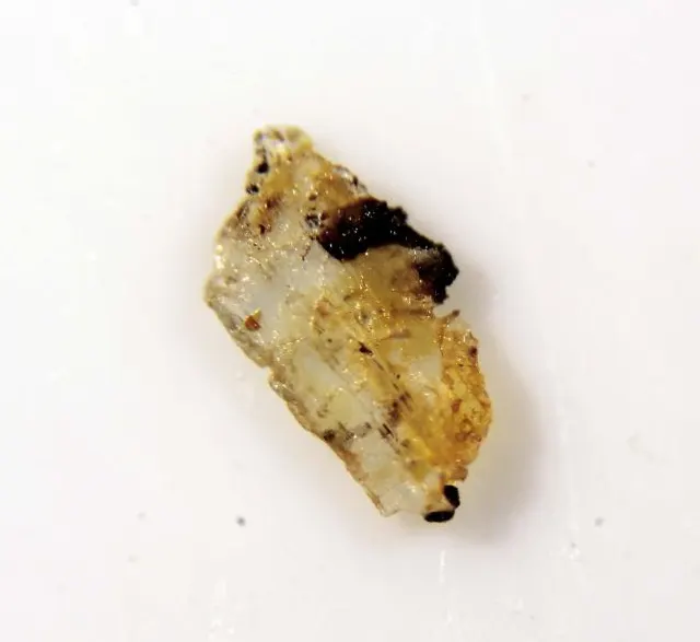 Samuelsonite.png