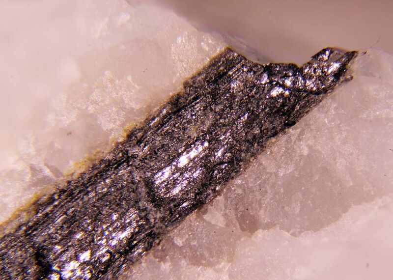 Aschamalmite