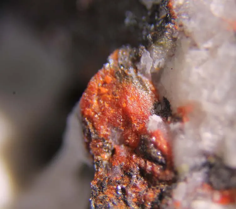 Sarabauite.jpg