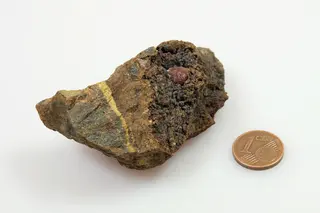 Sarkinit.jpg