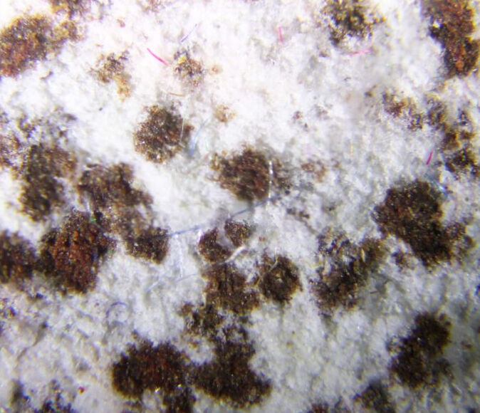 Sarmientite