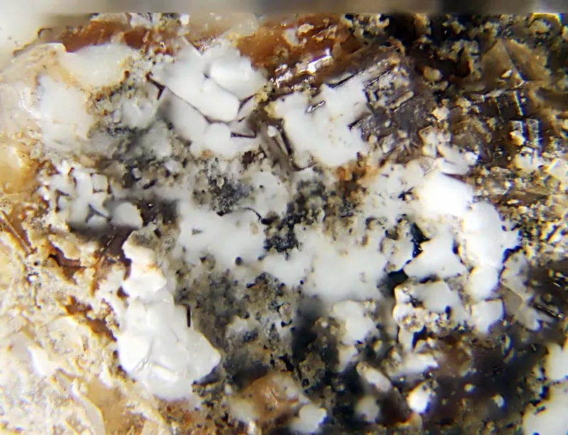 Satimolite.jpg