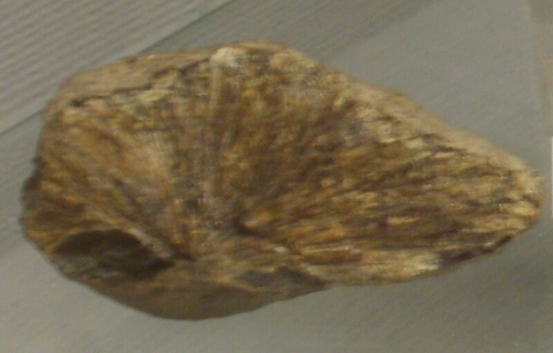 Satterlyite
