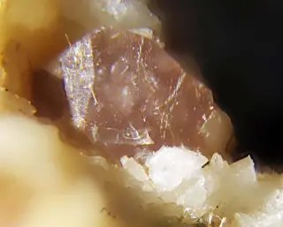 Sazykinaite-(Y).jpg