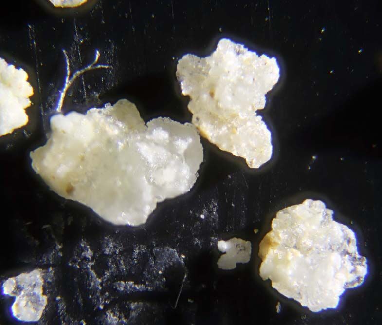 Sborgite