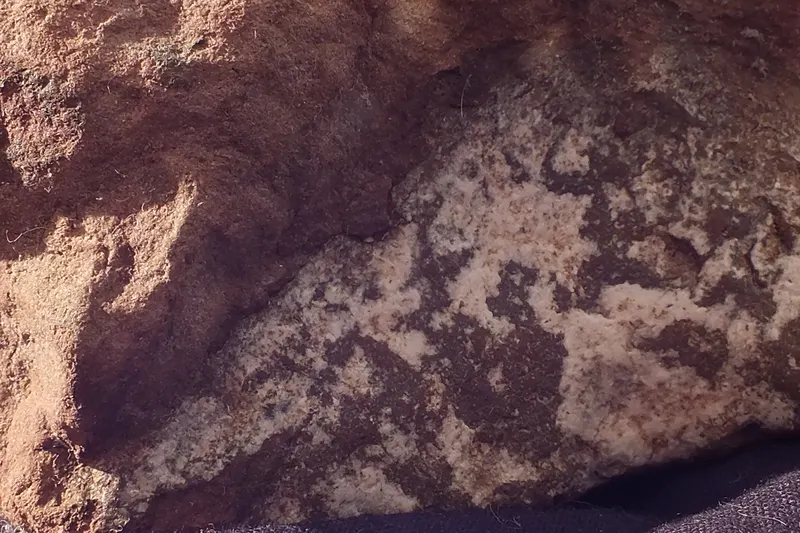 Scarbroite-609054.jpg