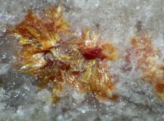 Scheuchzerite-103193.jpg