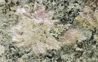 Ashcroftine-(Y)-257734.jpg
