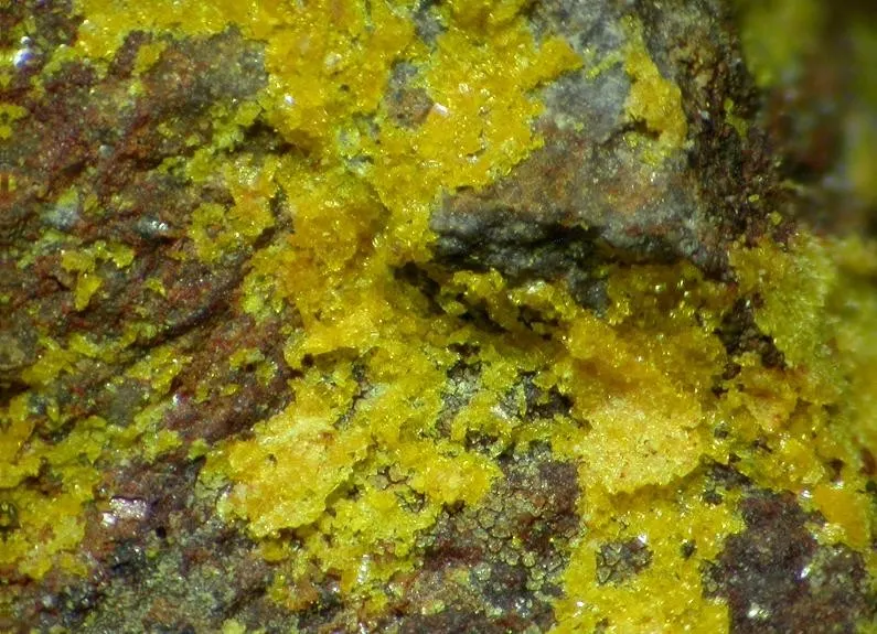 Schoderite-93261.jpg
