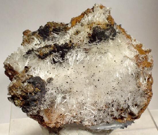 Scholzite