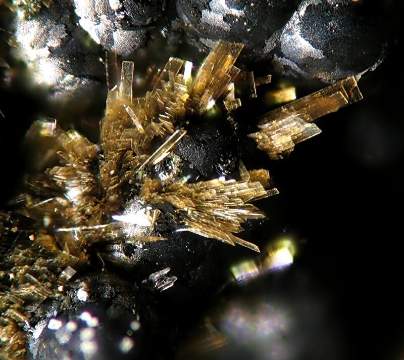 Schoonerite