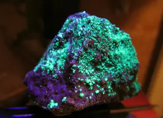 Schrockingerite in UV-light.jpg