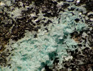 Schulenbergite-102486.jpg