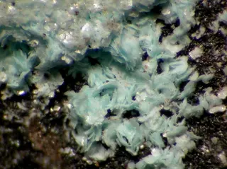 Schulenbergite-102487.jpg