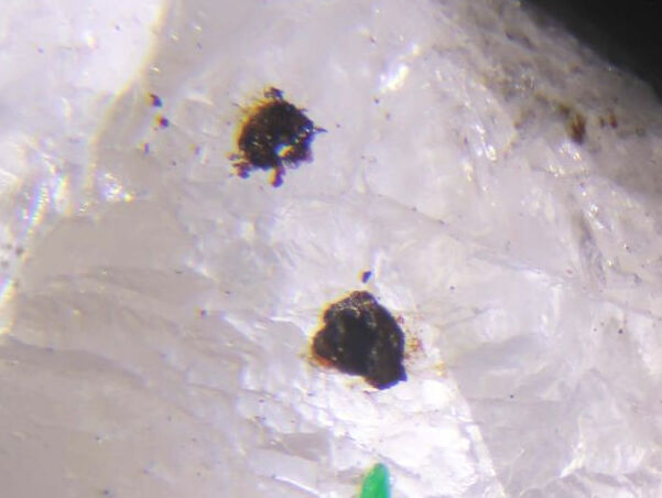 Scrutinyite