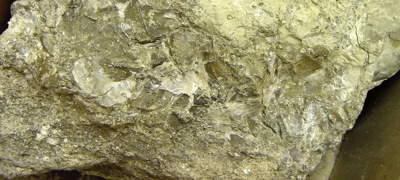 Searlesite.jpg