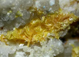 Seeligerite-101601.jpg