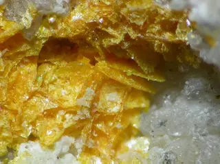 Seeligerite-101603.jpg