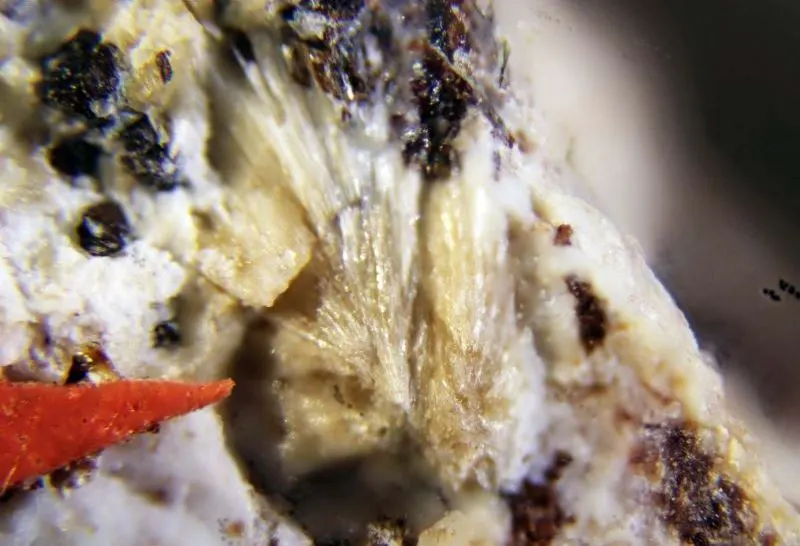 Seidite-(Ce).jpg