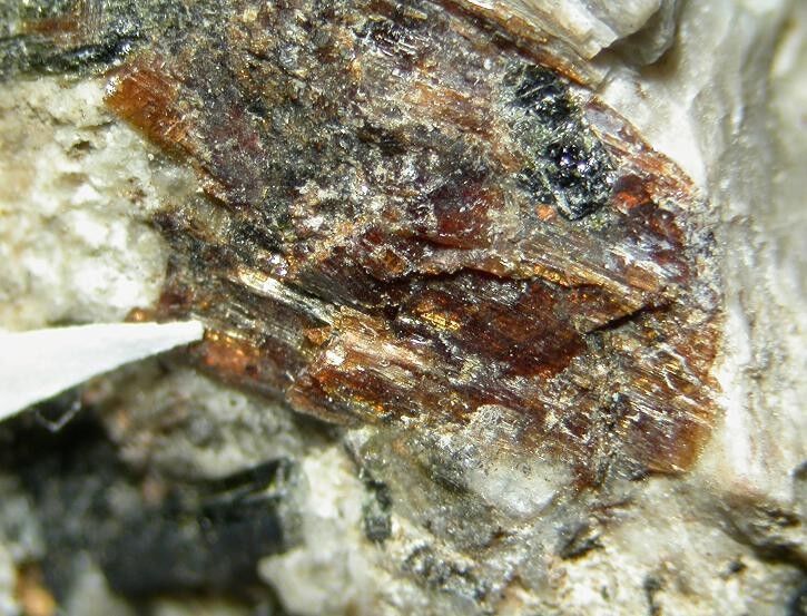 Seidozerite