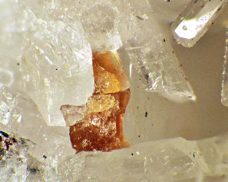 Semenovite-(Ce).jpg