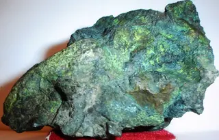Sengierite, Carnotite, Tyuyamunite-470959.jpg
