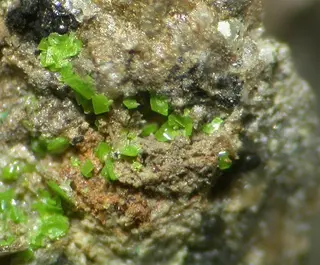 Sengierite-497485.jpg