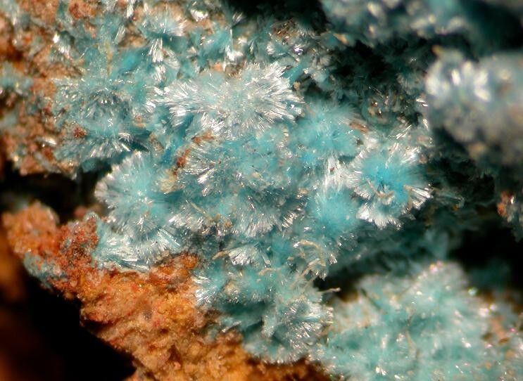 Serpierite