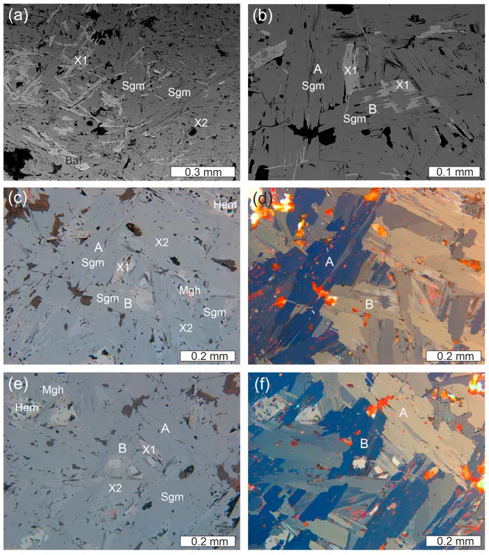 BSE image of different ferrites with shagamite crystals.png