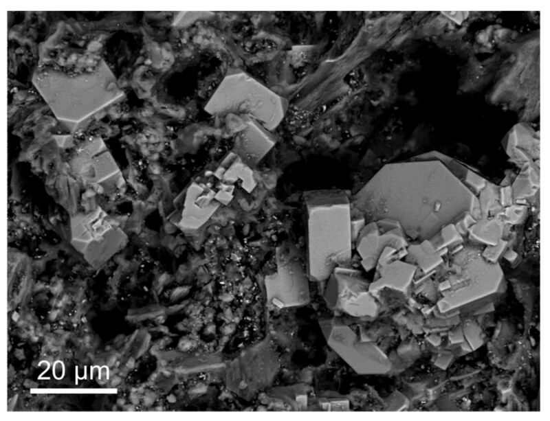 Sharyginite