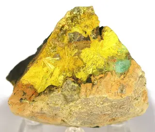 Kamotoite-(Y)-Astrocyanite-(Ce)-Uranophane-180995.jpg
