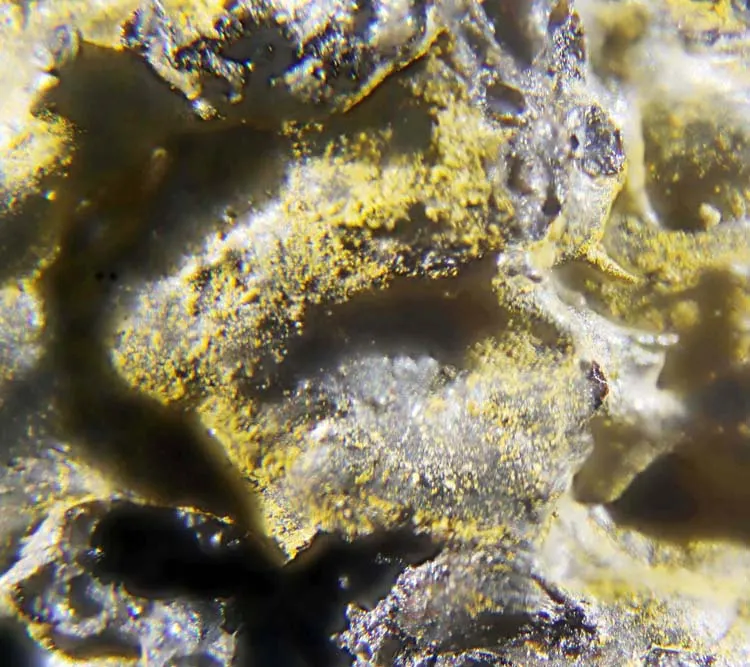 Shcherbinaite.jpg