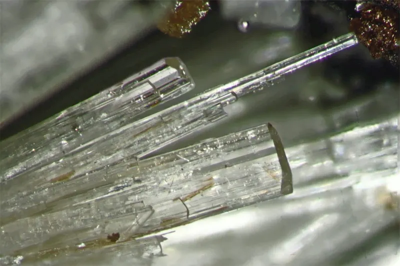Shomiokite-(Y)-163771.jpg