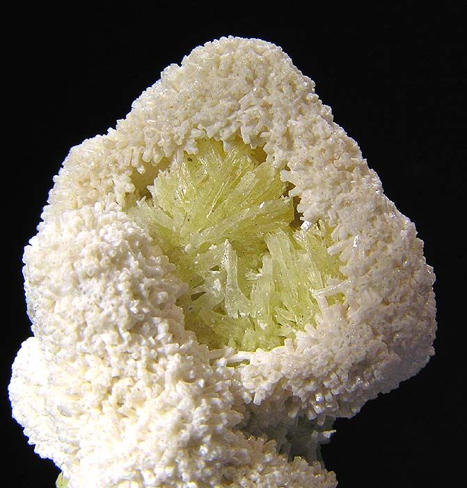 Shortite