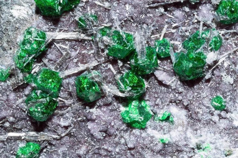 Shuiskite, uvarovite 1100.1.2934.jpg