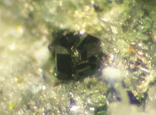 Sidwillite-347303 (cropped).png