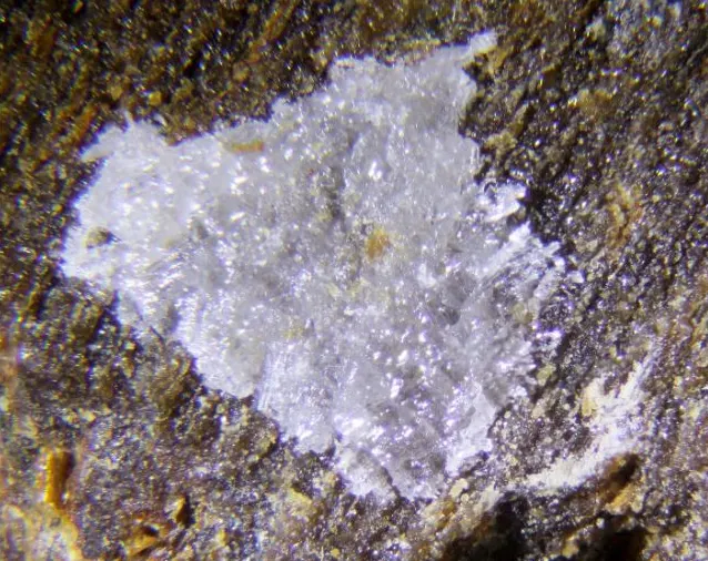 Simonellite.jpg