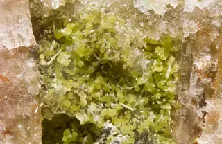 Atelestite Tomeik.jpg