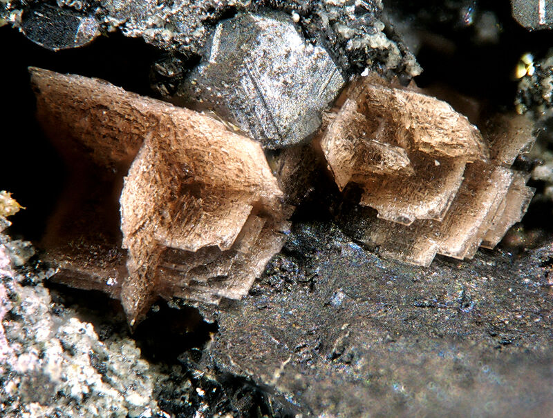Söhngeite