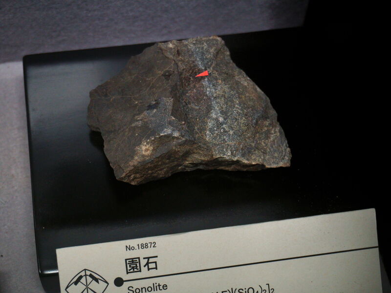 Sonolite