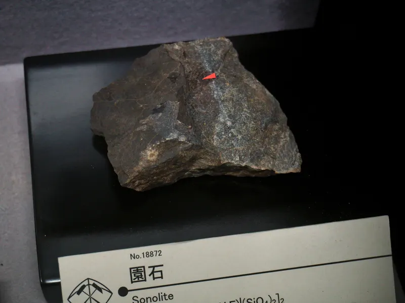 Sonolite displayed at Mining Museum of Akita University.jpg