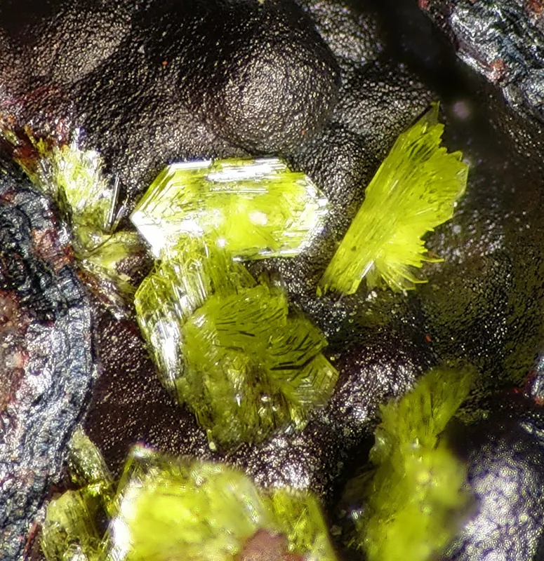 Sonoraite-75642.jpg