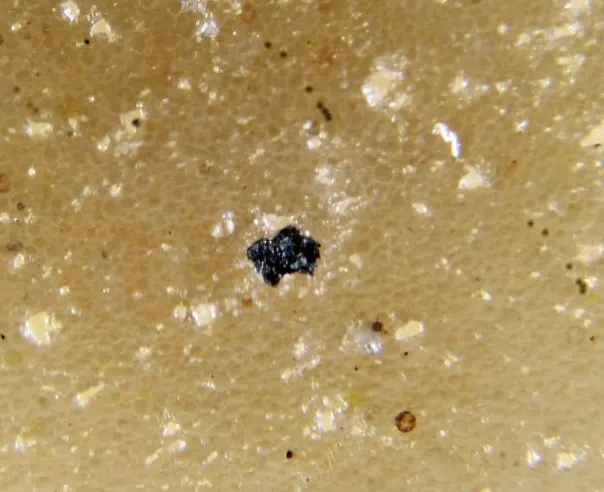 Sorosite & Stistaite.jpg