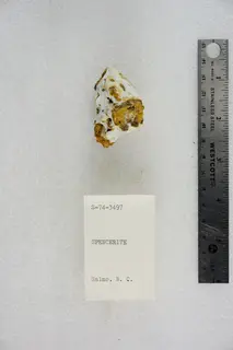 Spencerite (48303248192).jpg