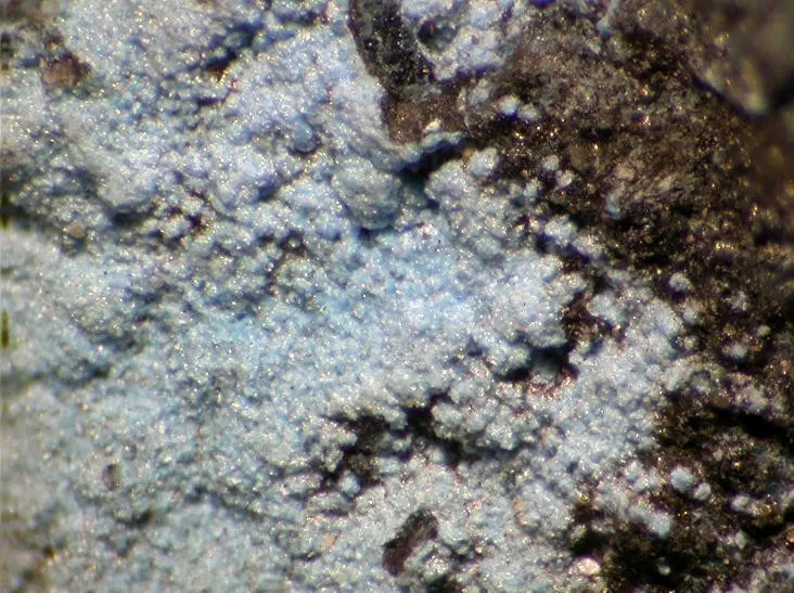 Spertiniite-93262.jpg