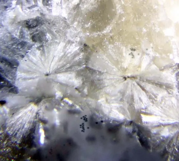Sphaerobertrandite.jpg