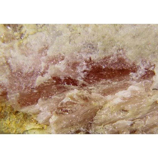Spiroffite.jpg