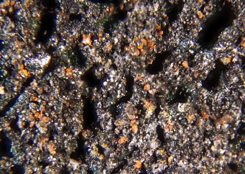 Starovaite.jpg
