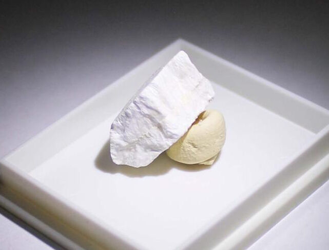 Stercorite